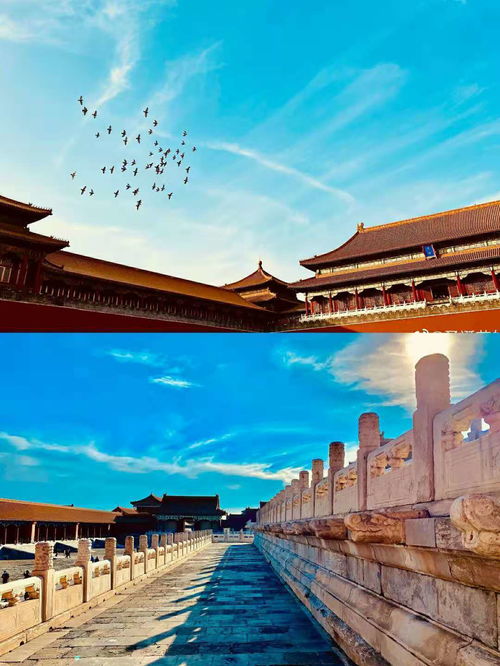 北京旅游5天需要准备什么(北京旅游攻略,玩5天费用多少)
