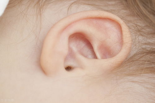 儿童耳朵臭是什么原因引起-儿童耳朵有点臭味